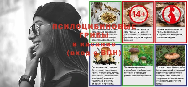 гидра Надым