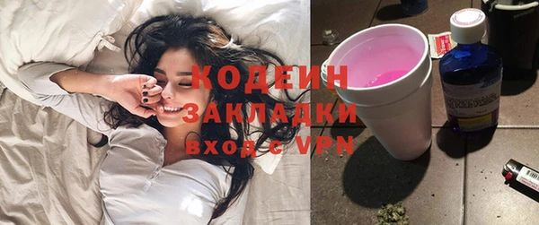 гидра Надым