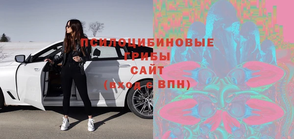 гидра Надым